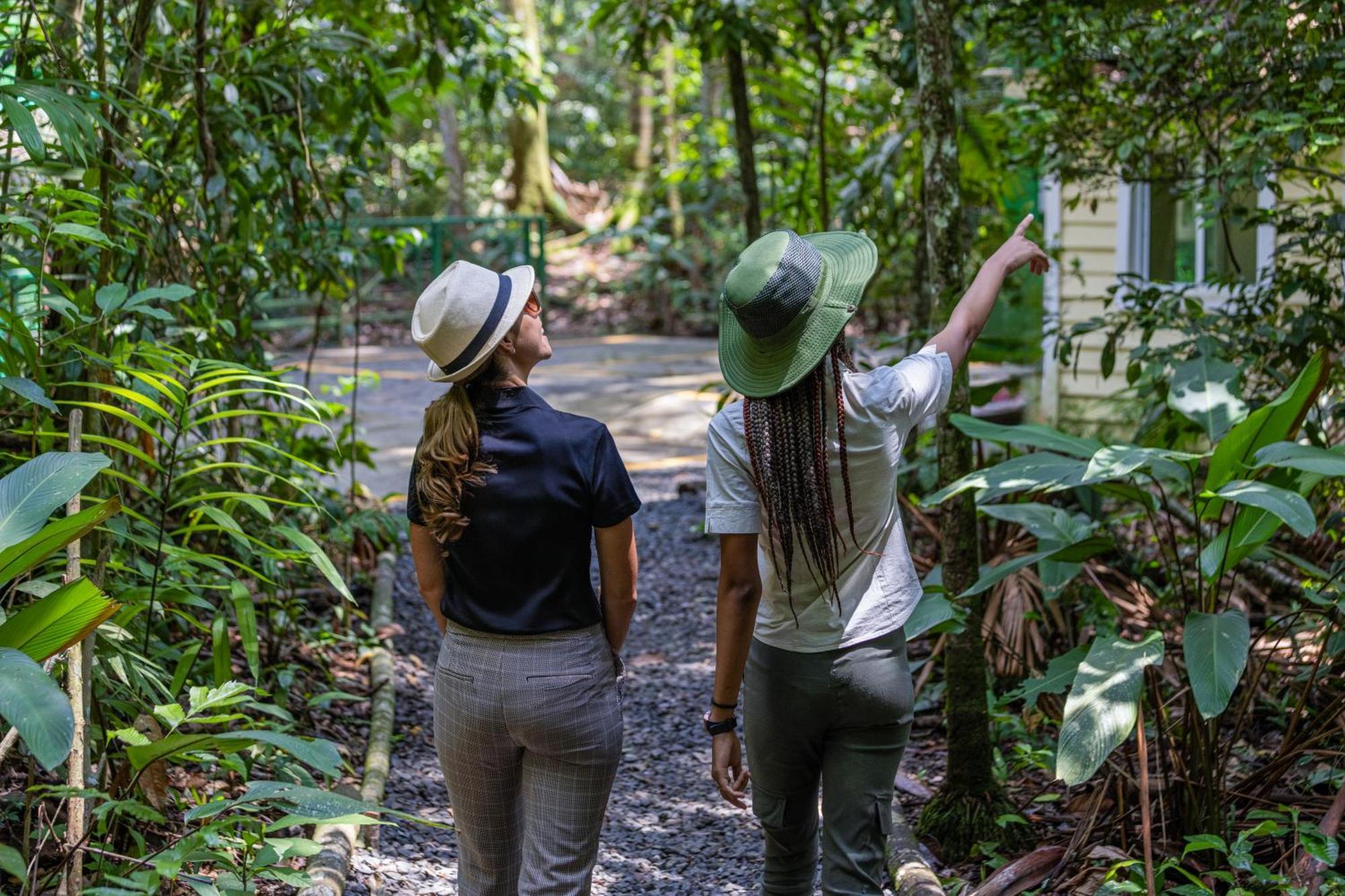 Gamboa Rainforest Reserve Dış mekan fotoğraf